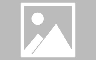 孝感新区景区网站建设（in art criticism,you must assume）